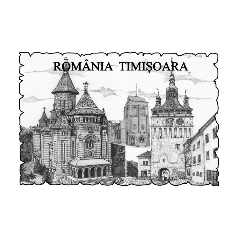 Mgs031-magnet frigider-timisoara romania
